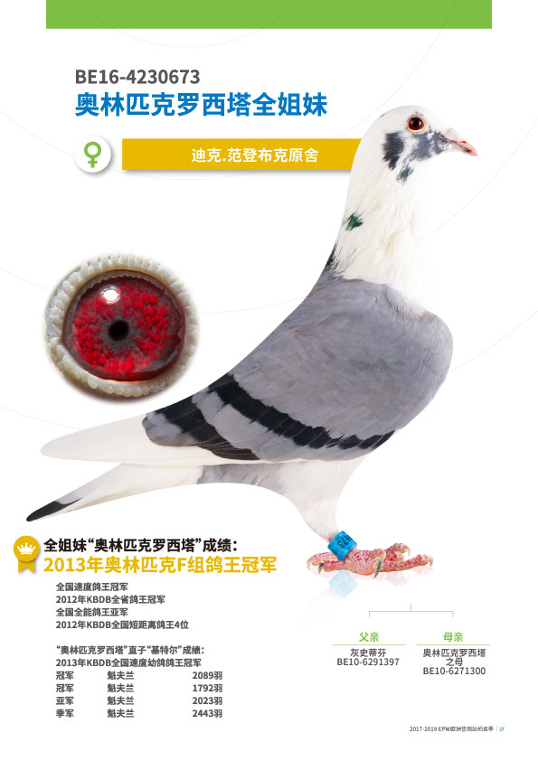 基特尔之子-罗西塔全姐迪克,范顿布鲁克