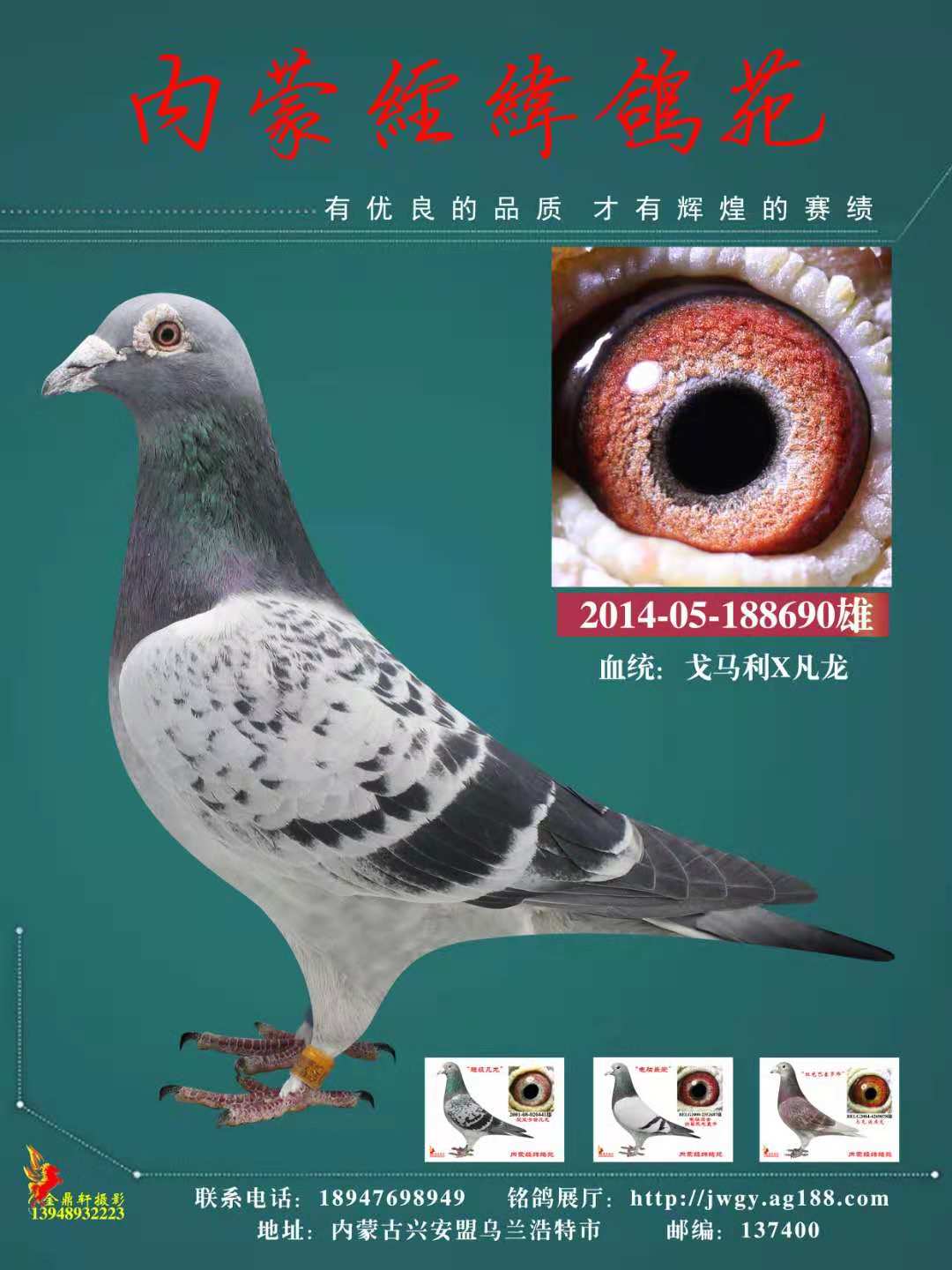 通辽立群公棚加强赛75名"电脑690"