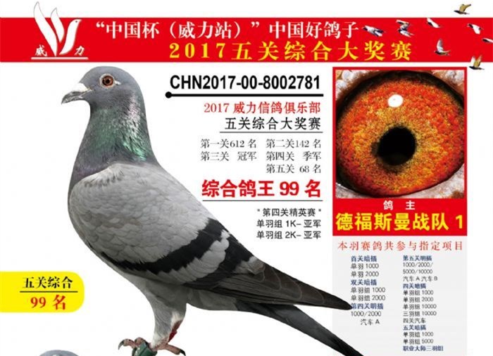 威力五关综合鸽王99位