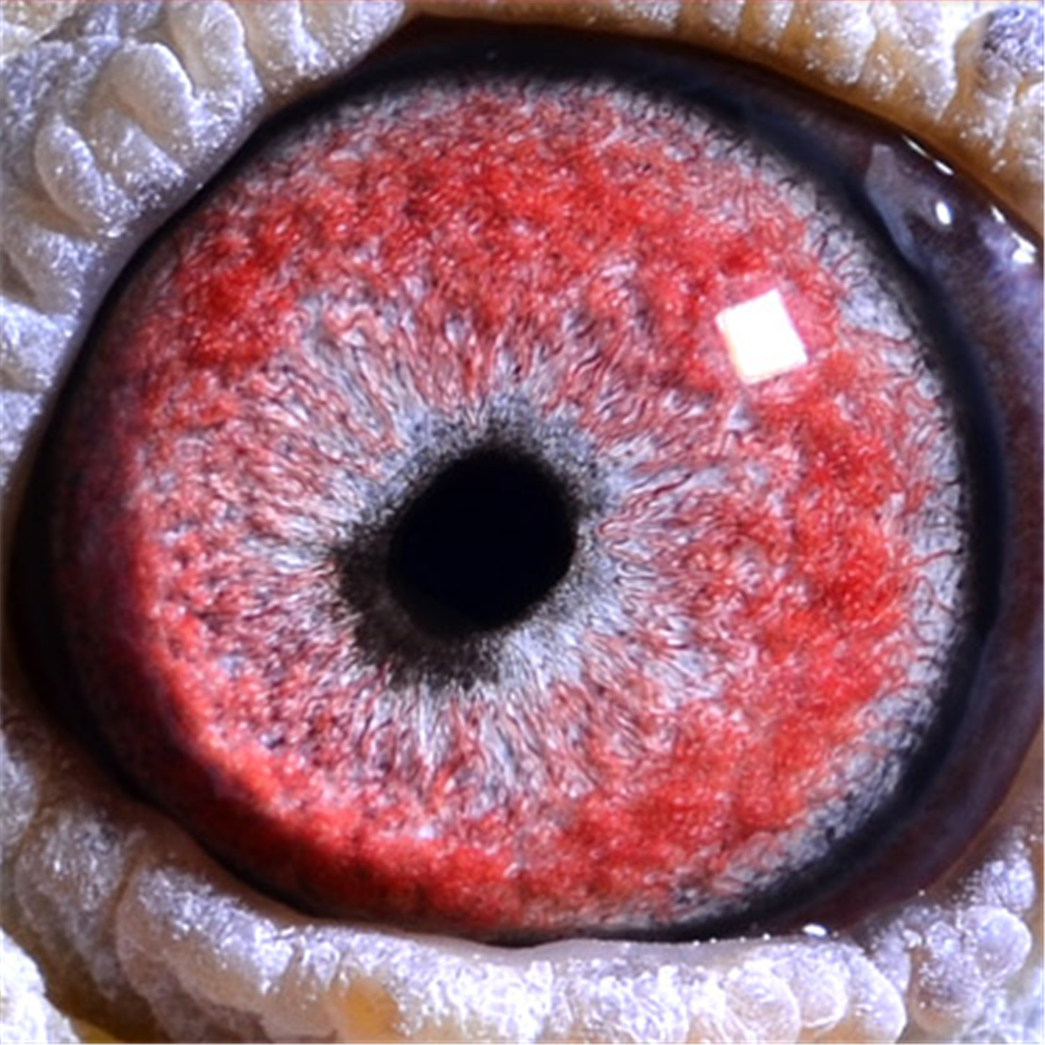 桑杰士-阳光-7688