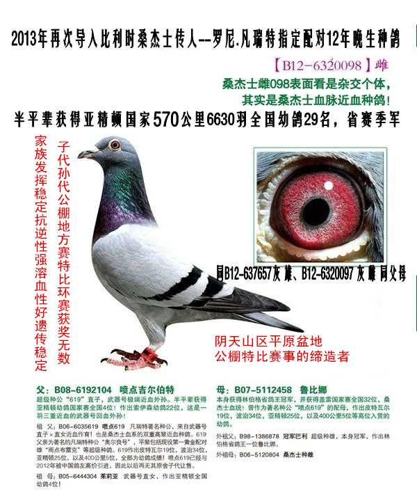 罗尼桑杰士武器号-1