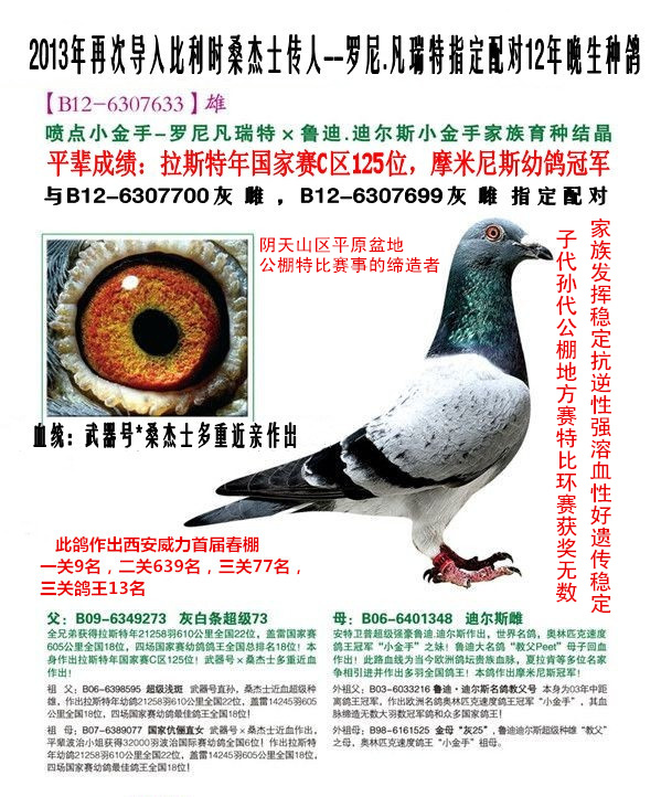 桑杰士武器号-6