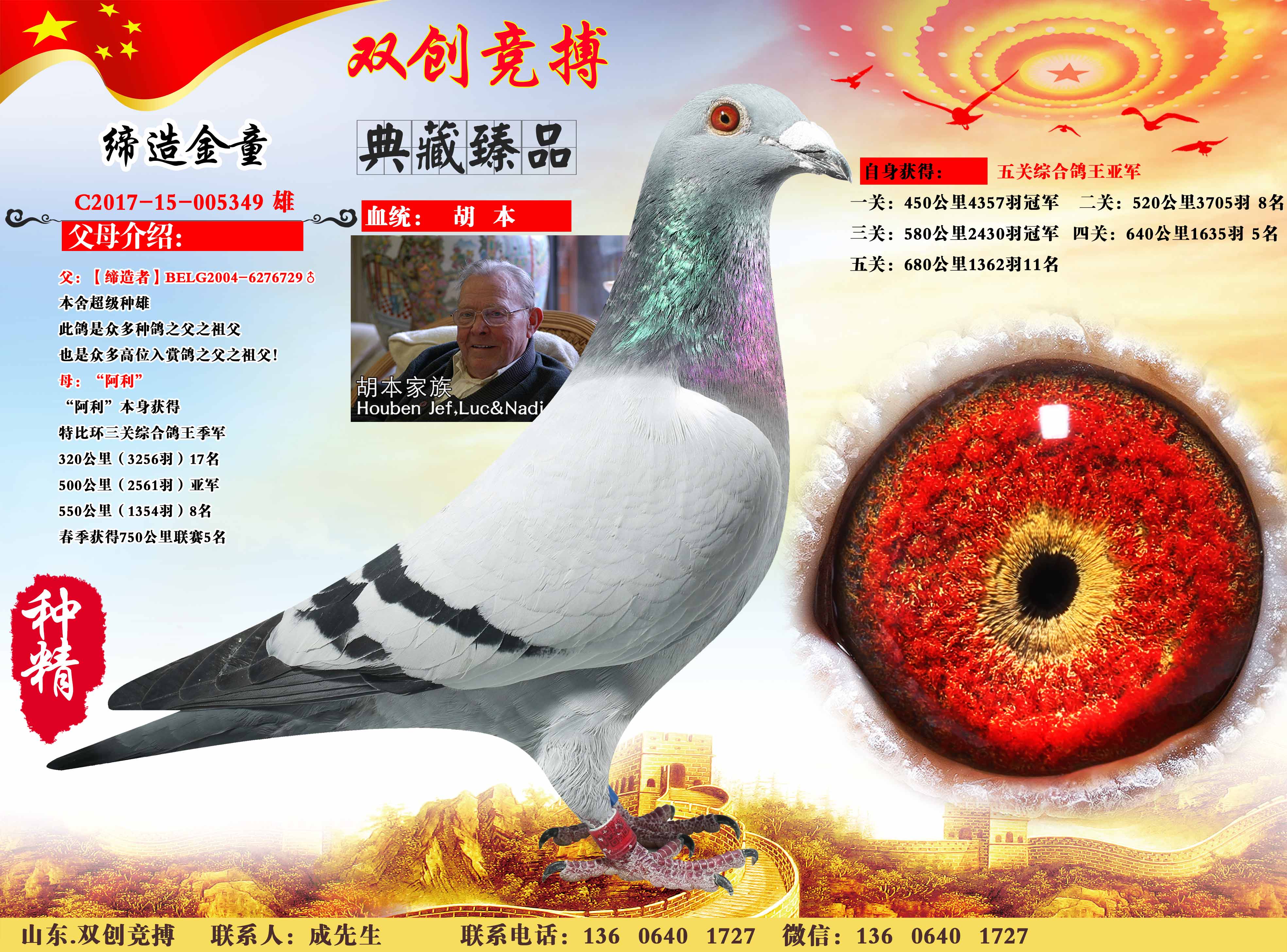 com爱鸽商城_中国信鸽信息网