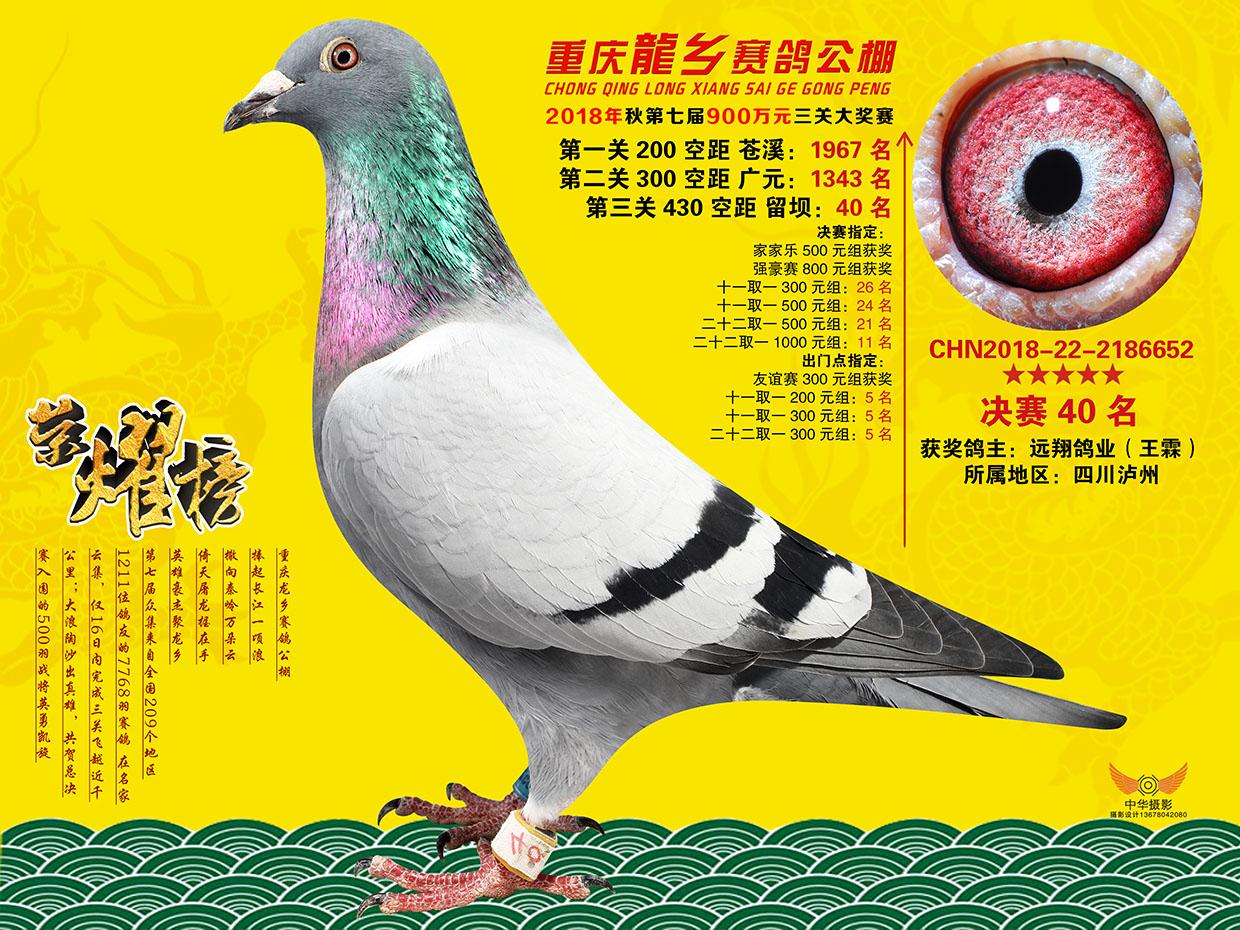 重庆龙乡公棚40名