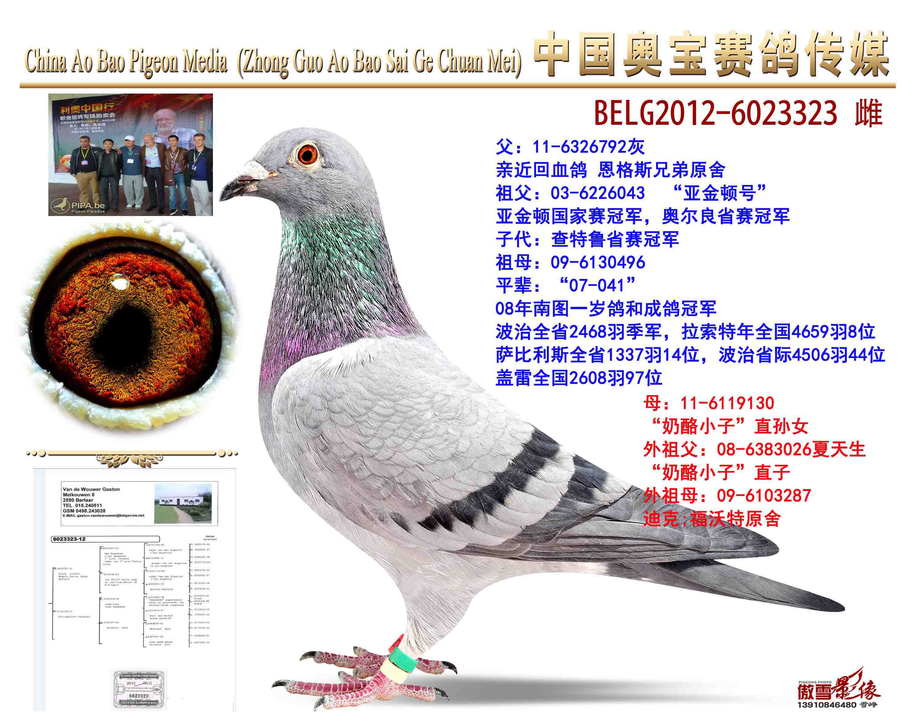 葛斯顿奶酪小子323
