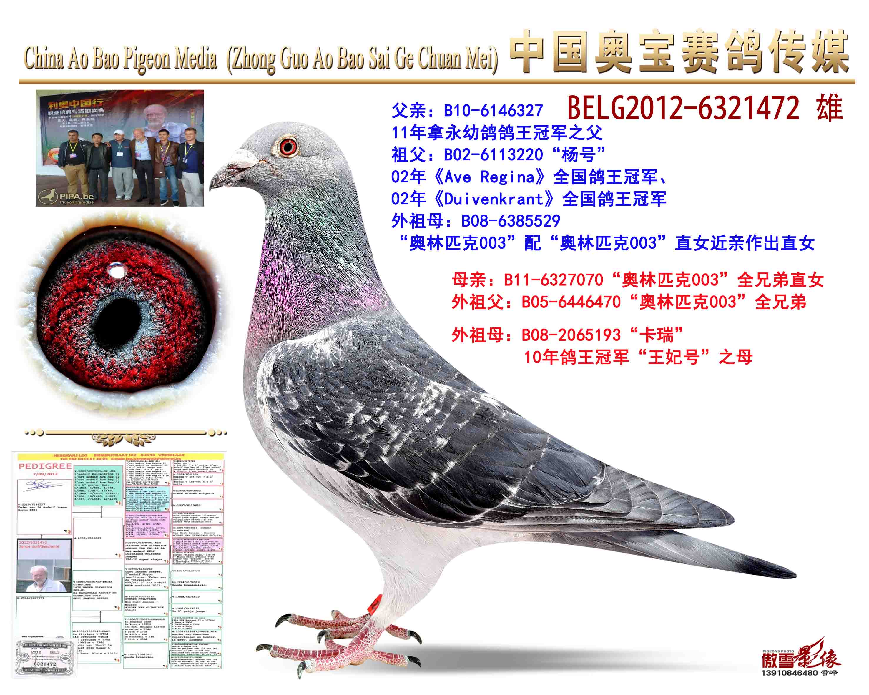 利奥.贺尔曼斯003家族472