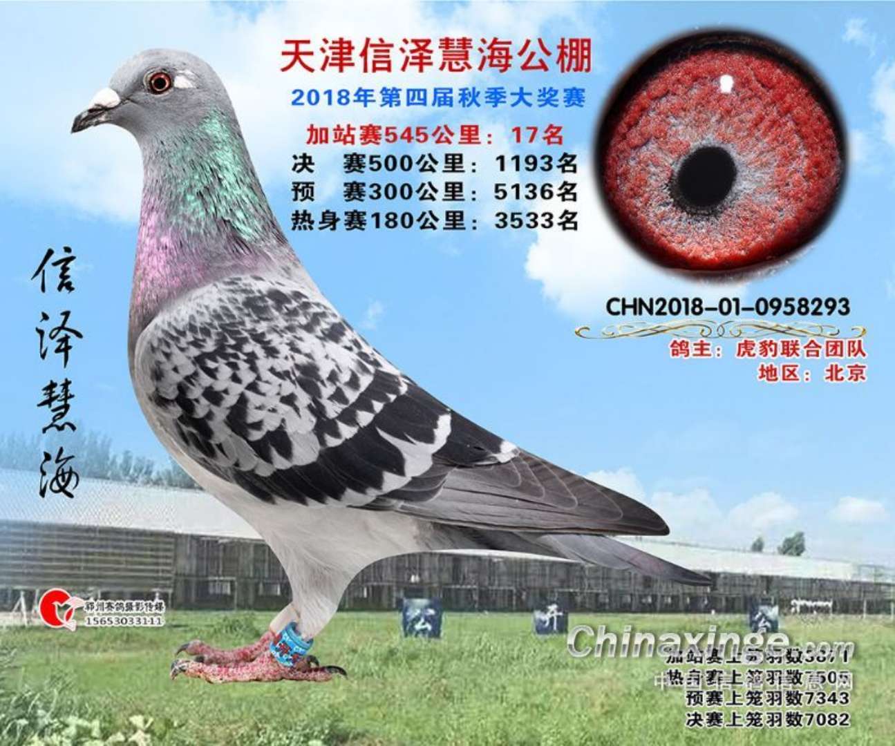 虎豹家园中心 - 中信网铭鸽展厅 www.ag188.com