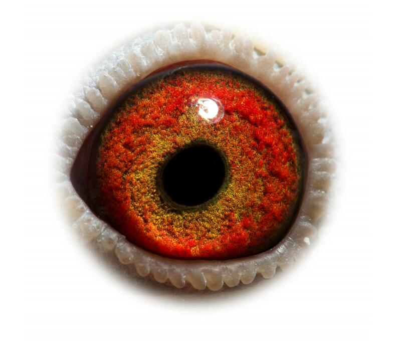 神奇099号直女658