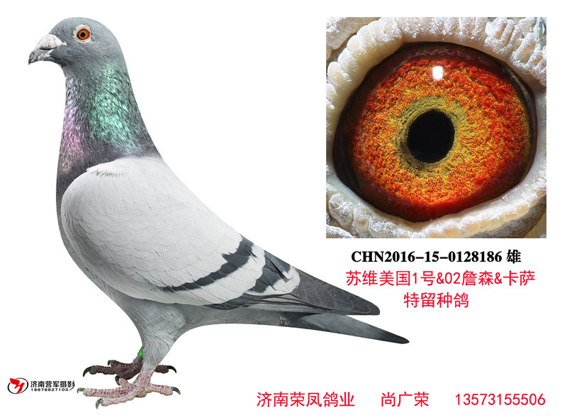 苏维美国1号&02詹森&卡萨