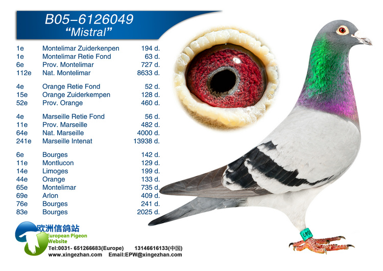 6126049  雄"西北风号(米斯特尔号)""年轻荣耀号直子x潘塔尼直女"慕利