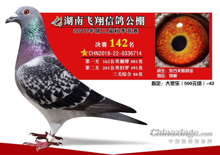 东方不败