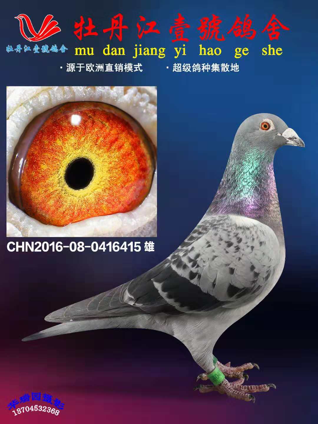500公里冠军