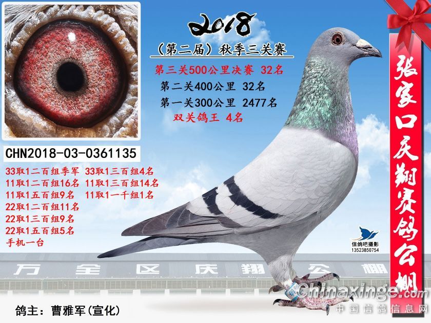 庆翔公棚决赛32名双关4名