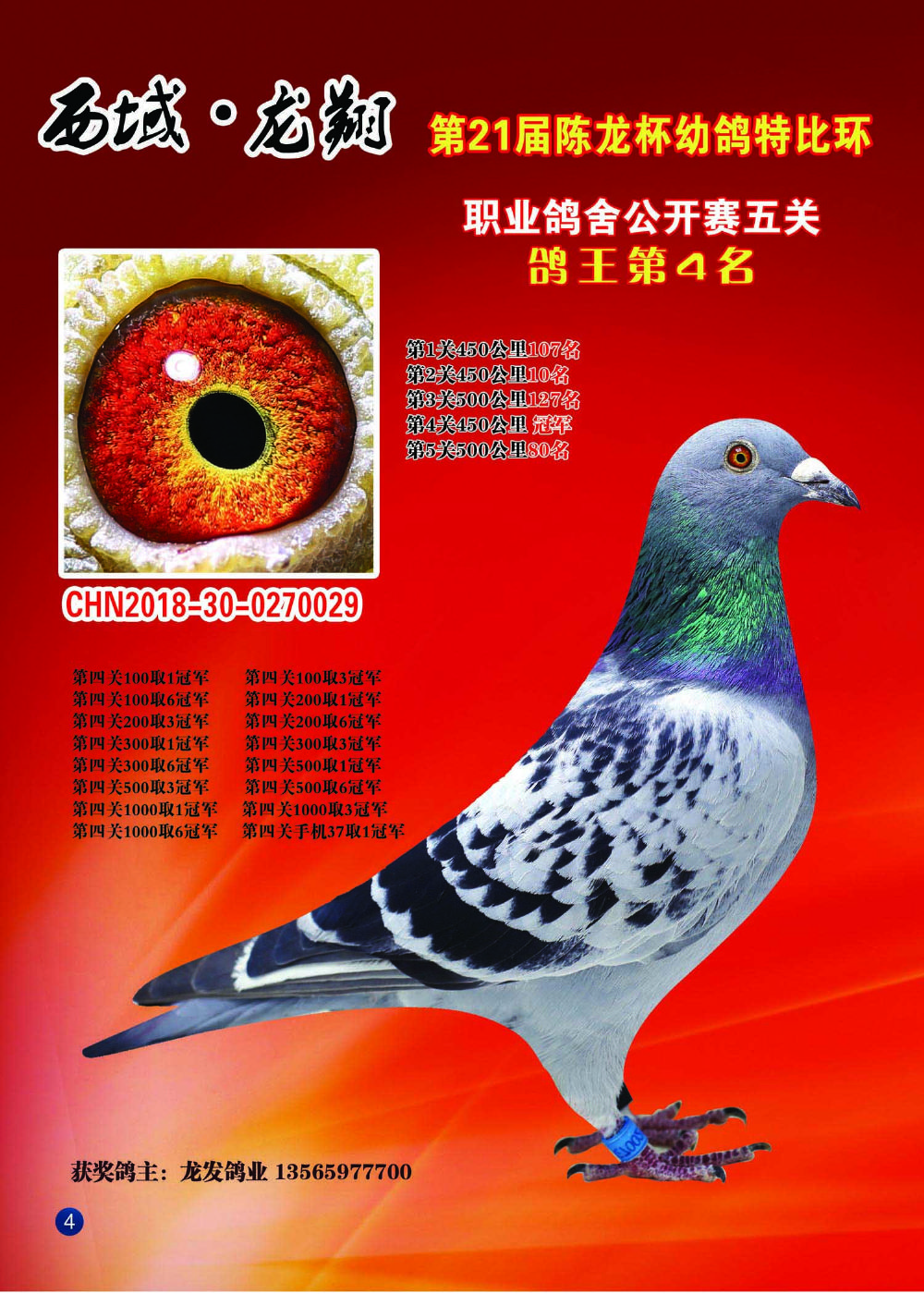 第四关冠军17冠王_龙发鸽业_ag188.com爱鸽商城_中国信鸽信息网