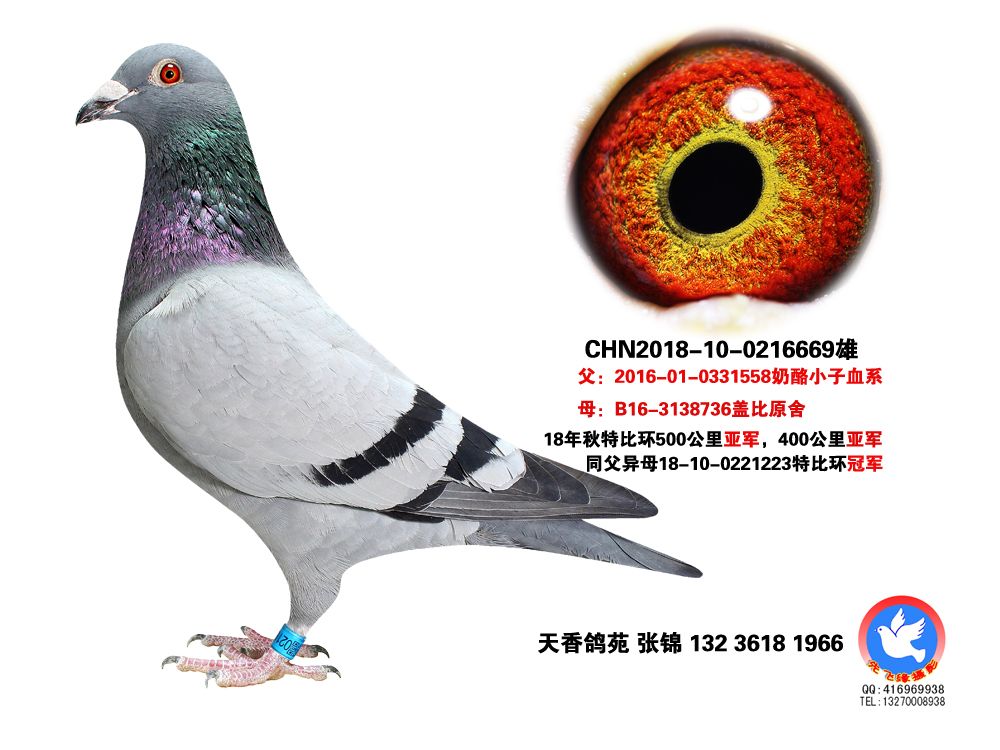 盖比x奶酪加入级别:标准展厅关注展厅:关注总访问量:452528所在省份