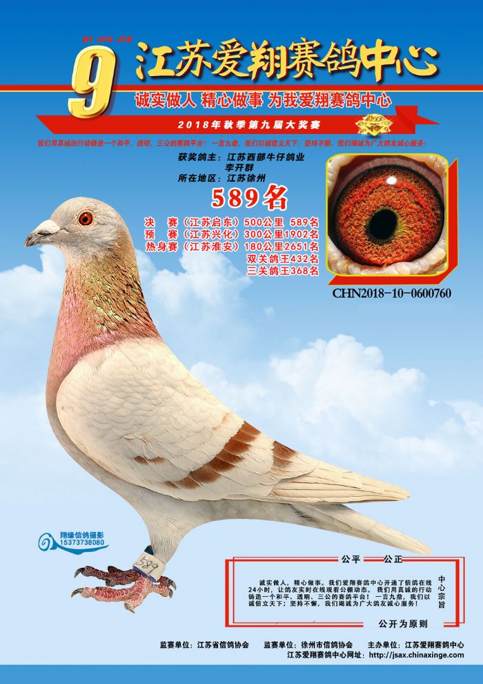 com爱鸽商城_中信网