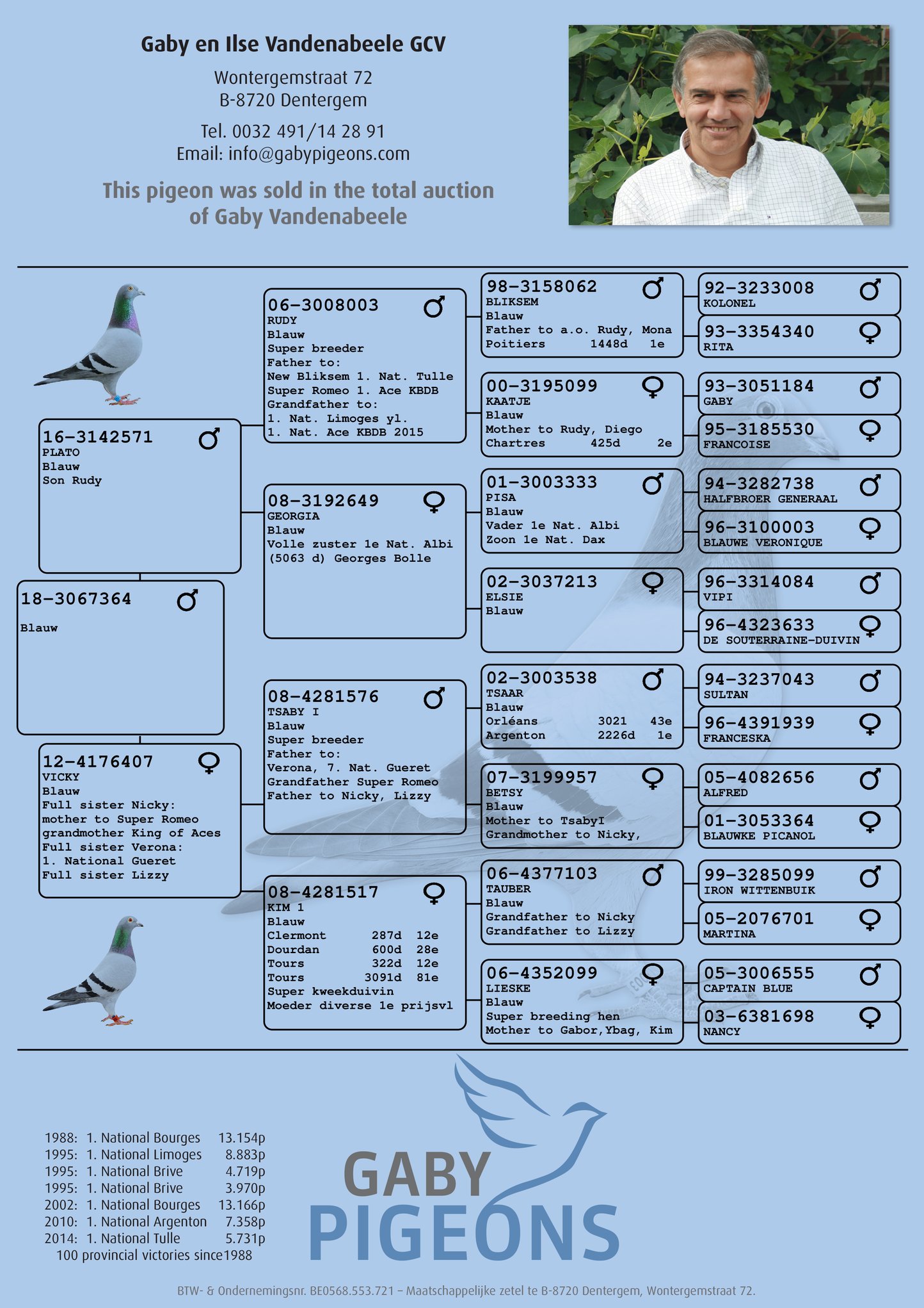 柏拉图直子364   qq 鸽友圈 相关图片   信鸽特征                 编