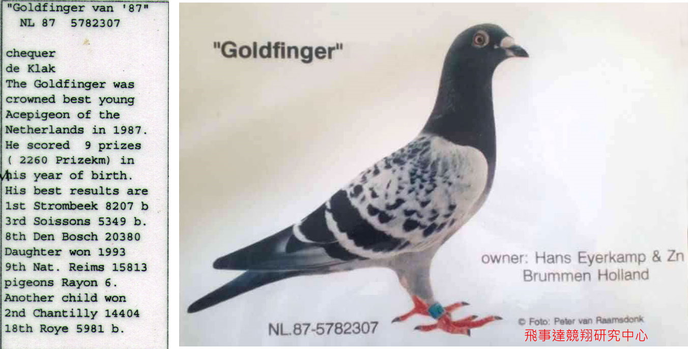 秘密武器爱亚卡普vip-克拉克詹森828