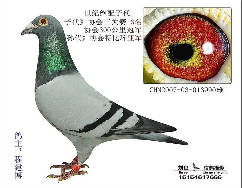 瓦特世纪绝配直子