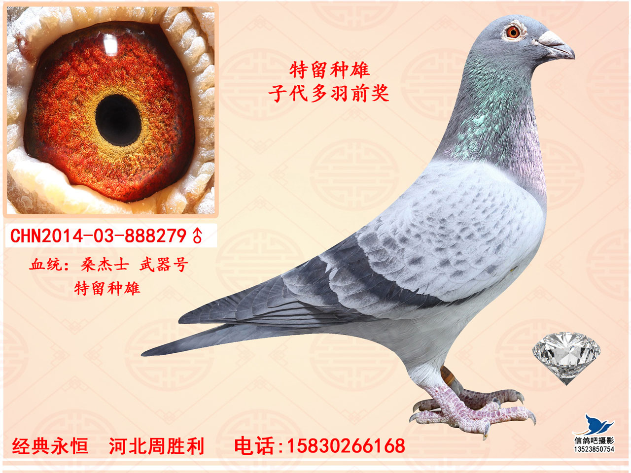 桑杰士武器号