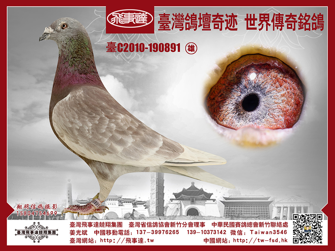 詹森红狐战斗机x红蝴蝶891
