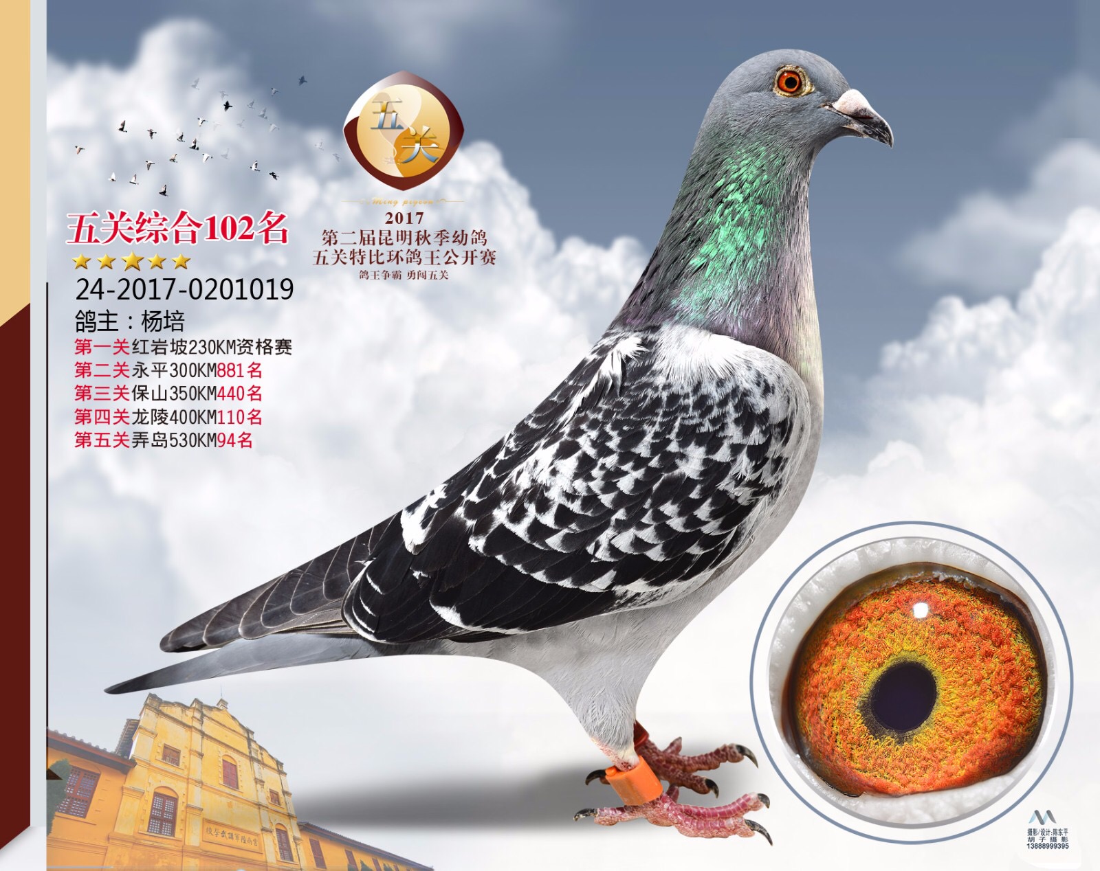 信鸽特征编 号:643957鸽 名:羽 色:雨点眼 砂:黄眼收 藏:点击收藏环