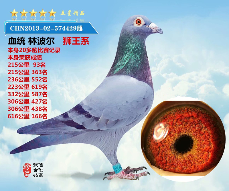 林波尔狮王166名