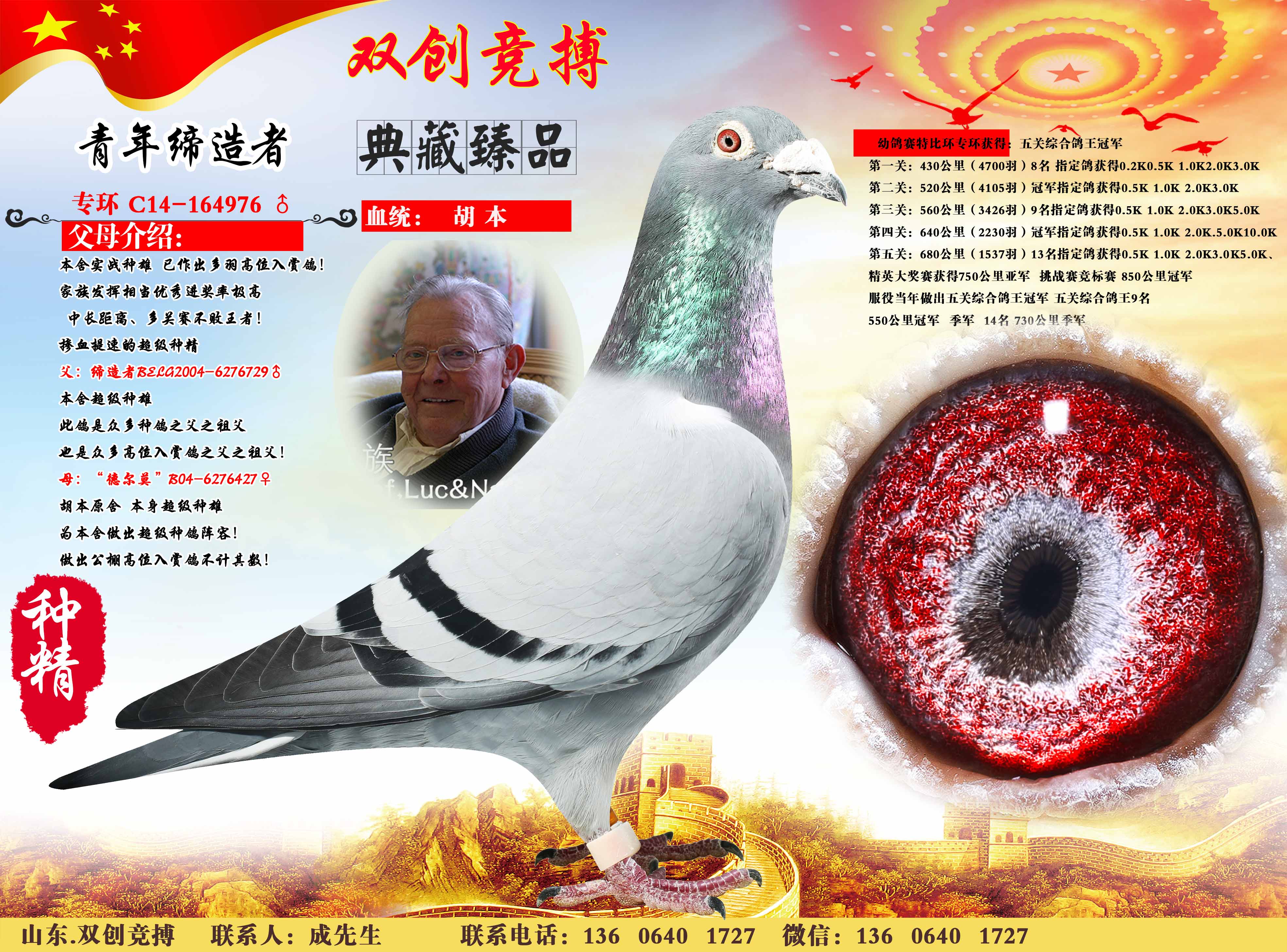 com爱鸽商城_中信网