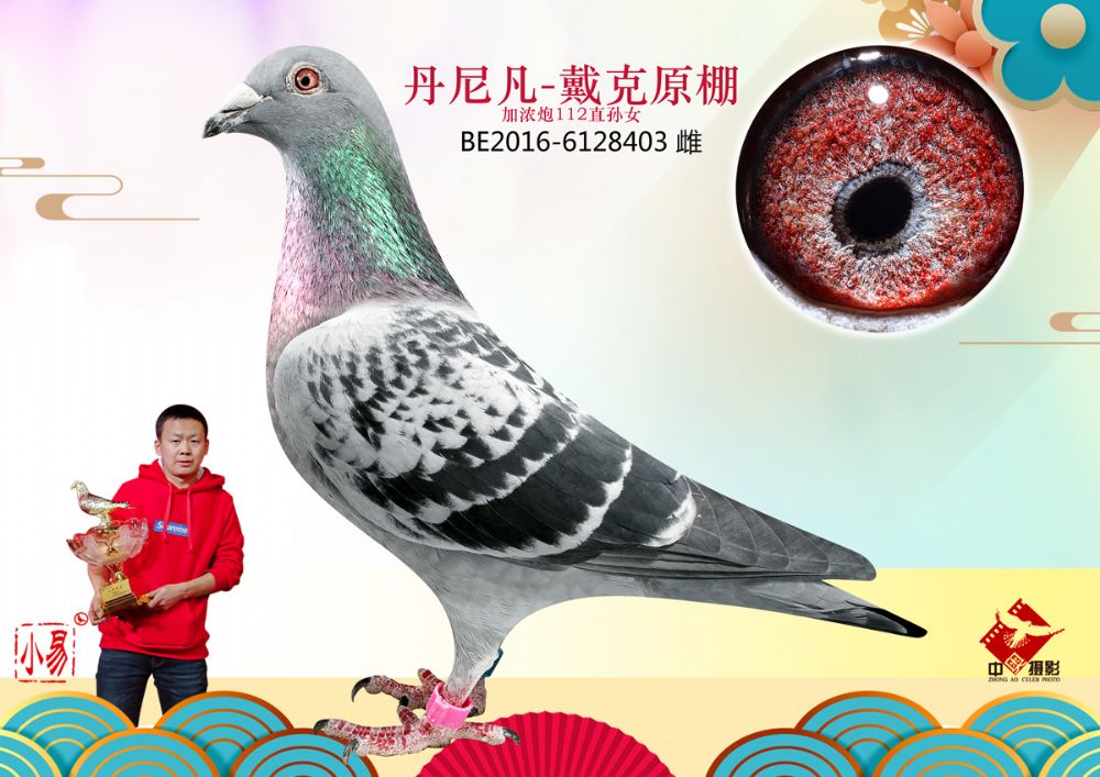 丹尼.凡戴克 加农炮112孙女