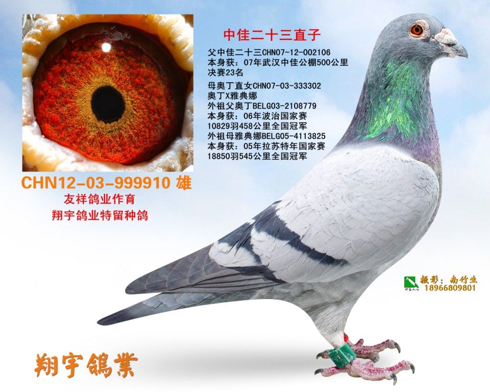 中佳二十三直子
