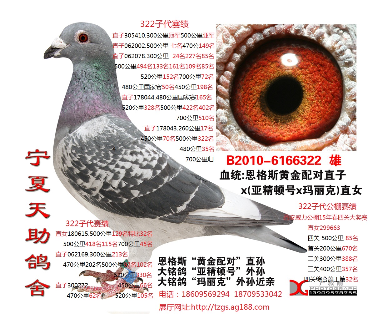 恩格斯231系宗亲近血