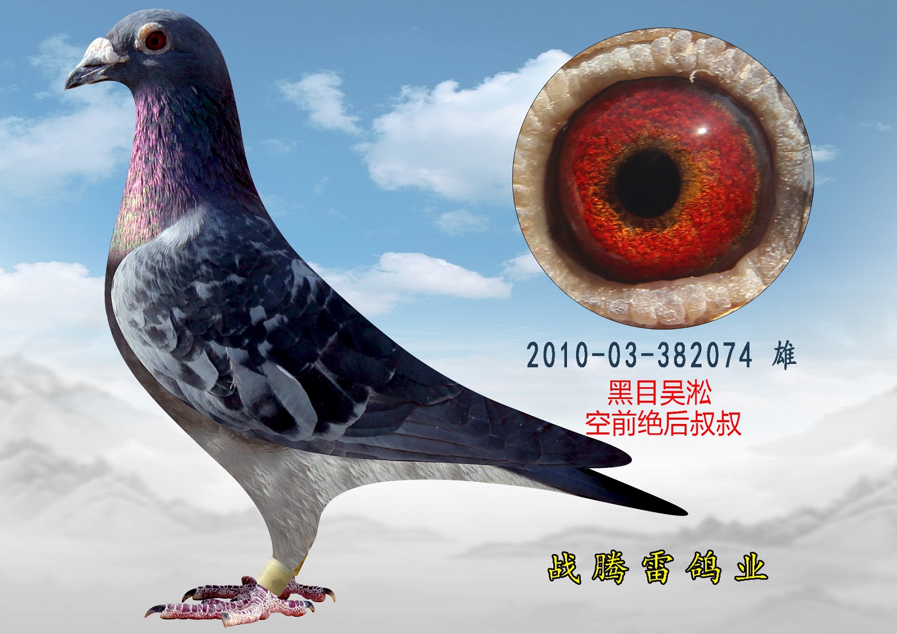 空前绝后叔叔 吴淞