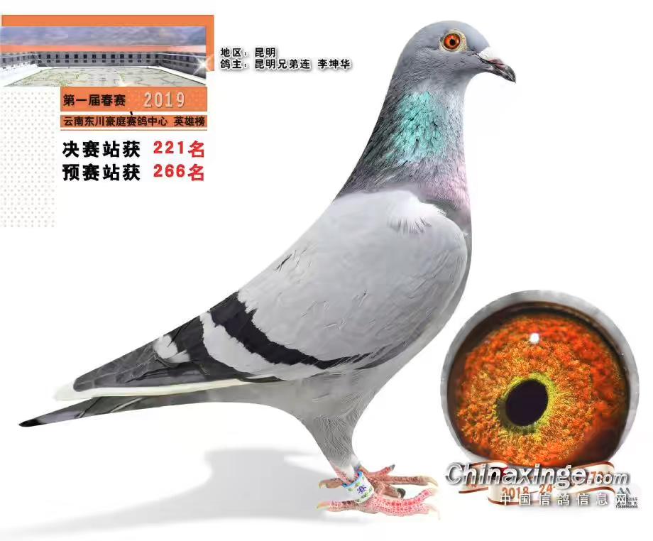 2019东川豪庭春棚决赛221名