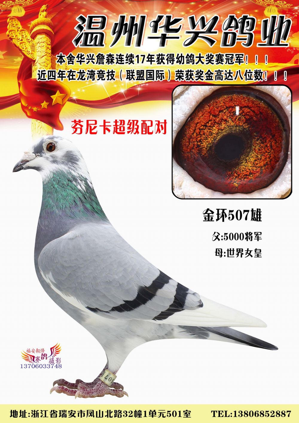 com爱鸽商城_中国信鸽信息网