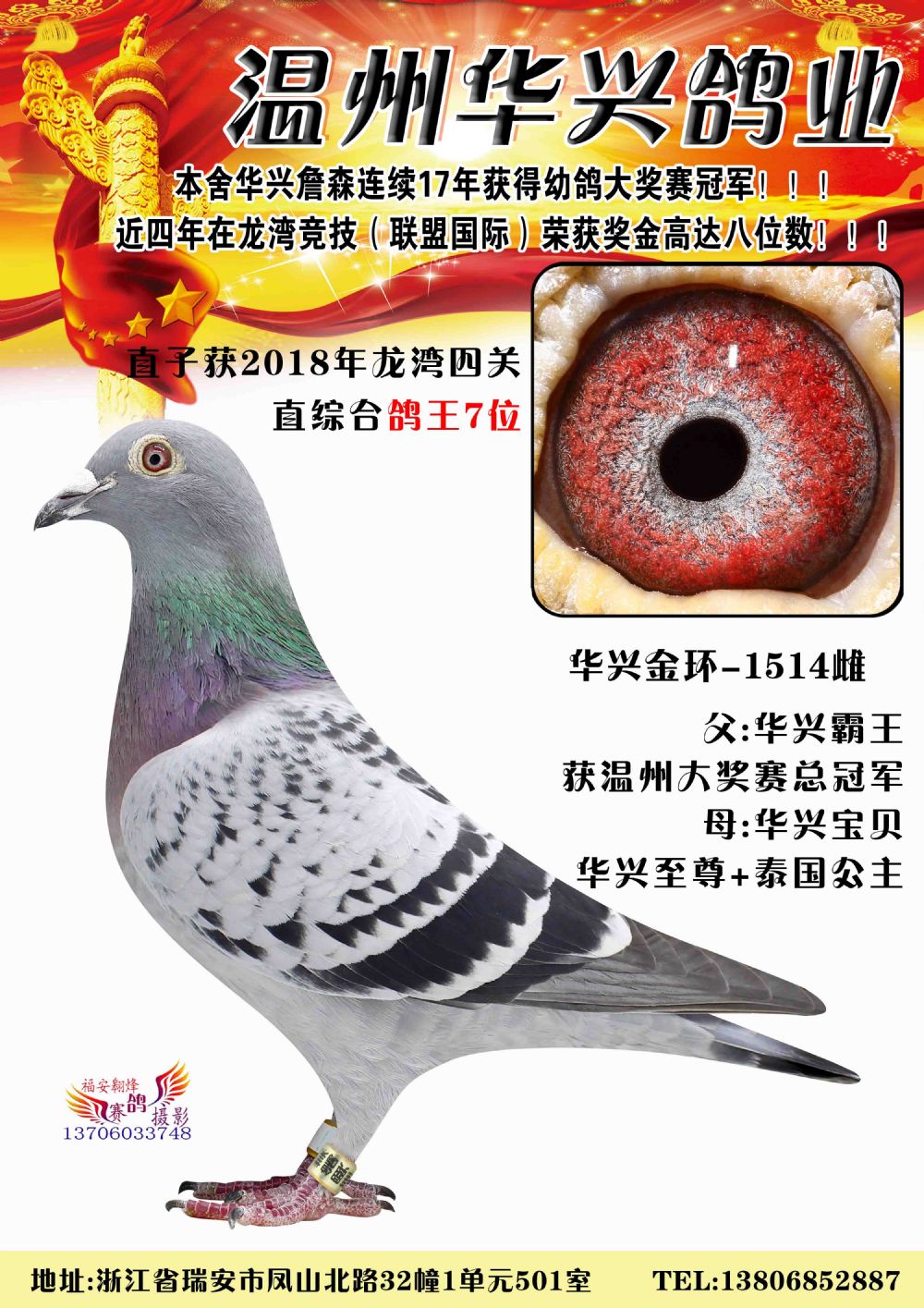 联系我们鸽友留言展厅相册鸽圈动态推荐配对在线购买信鸽拍卖历年赛