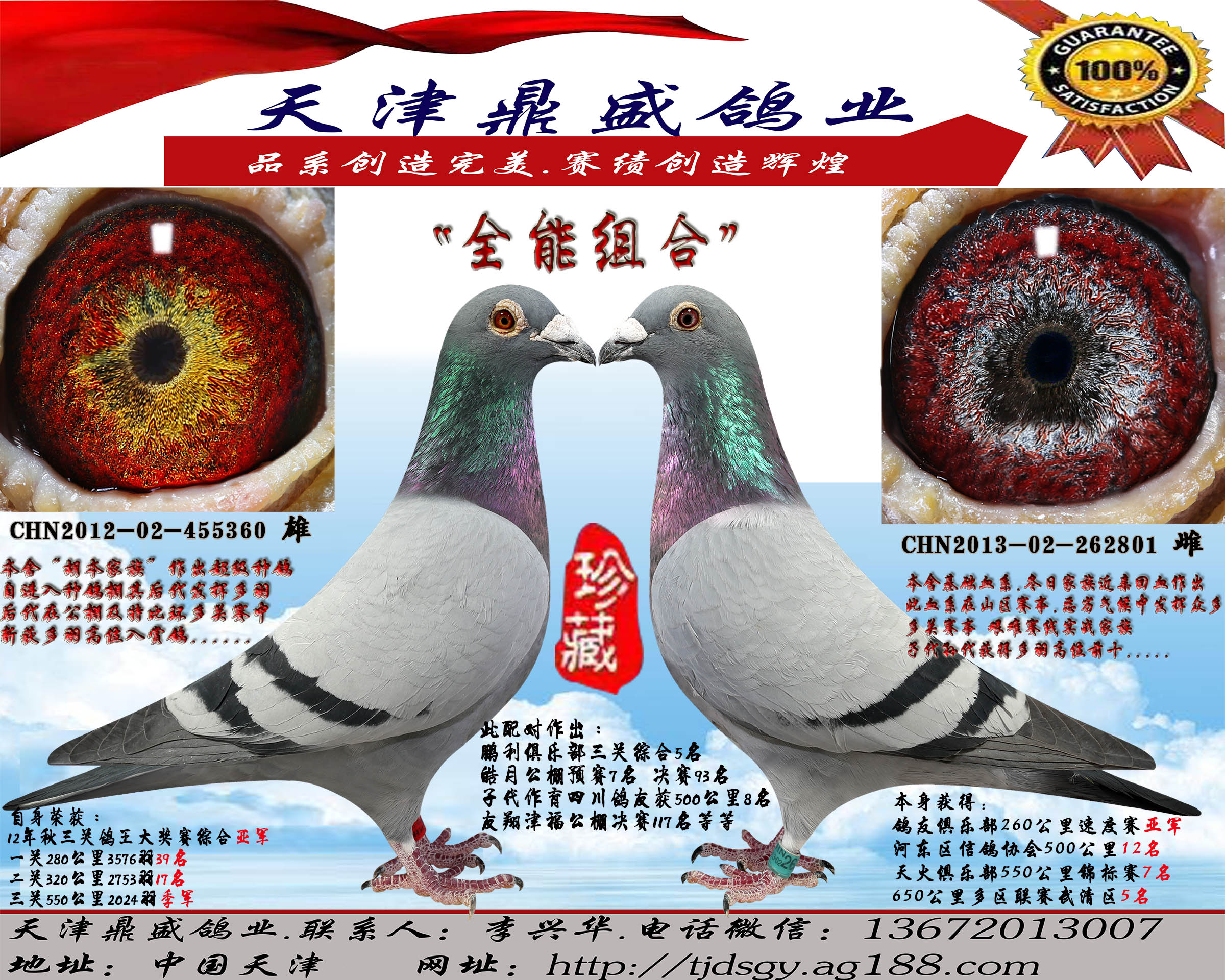 qq 鸽友圈 信鸽特征                  编 号: 603494