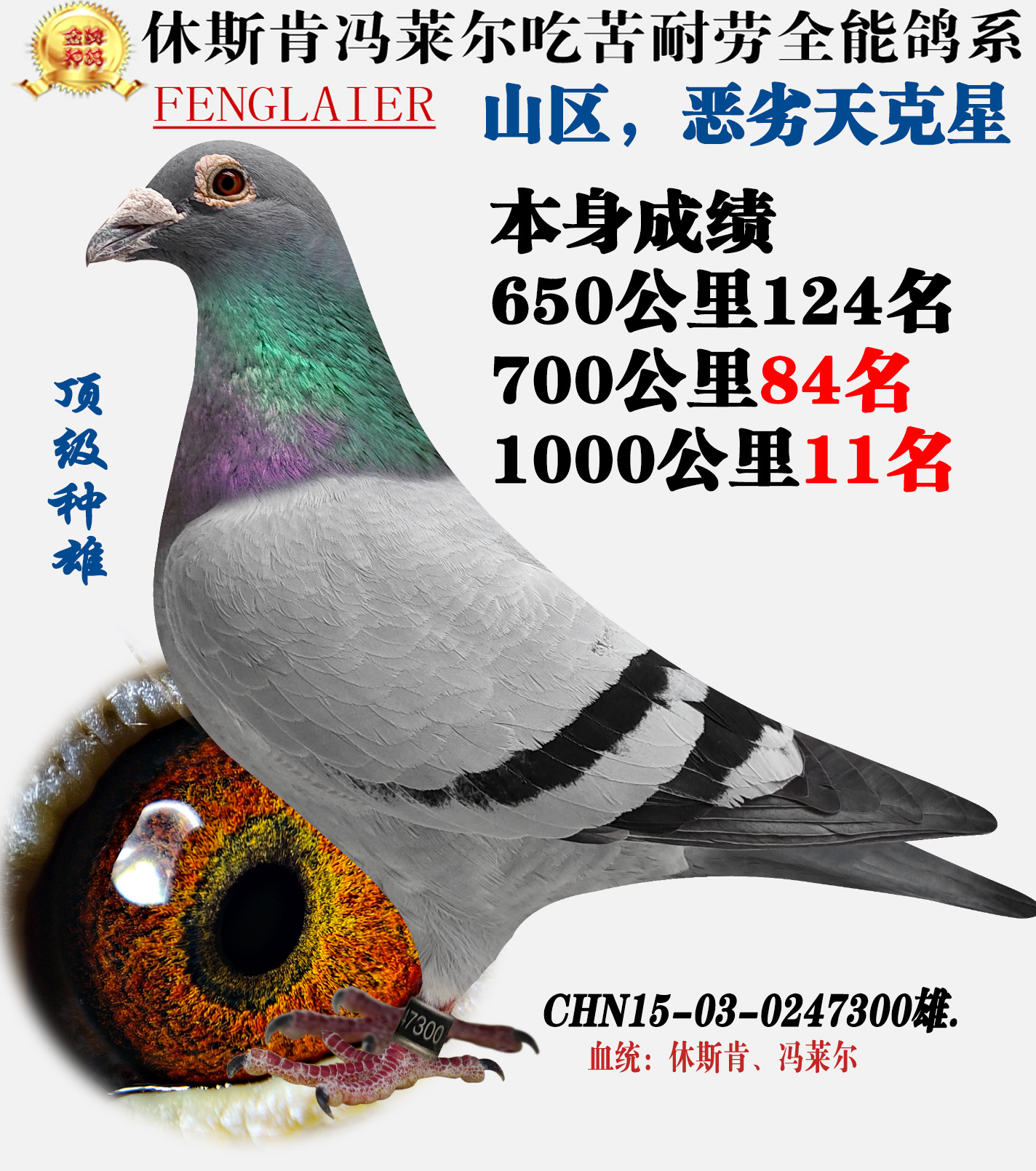 冯莱尔千公里11名