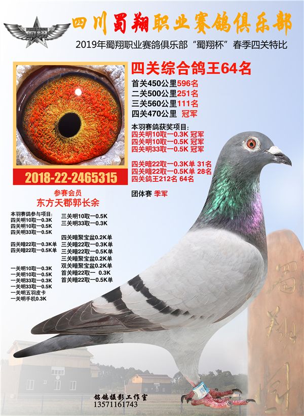 东方天郡鸽业