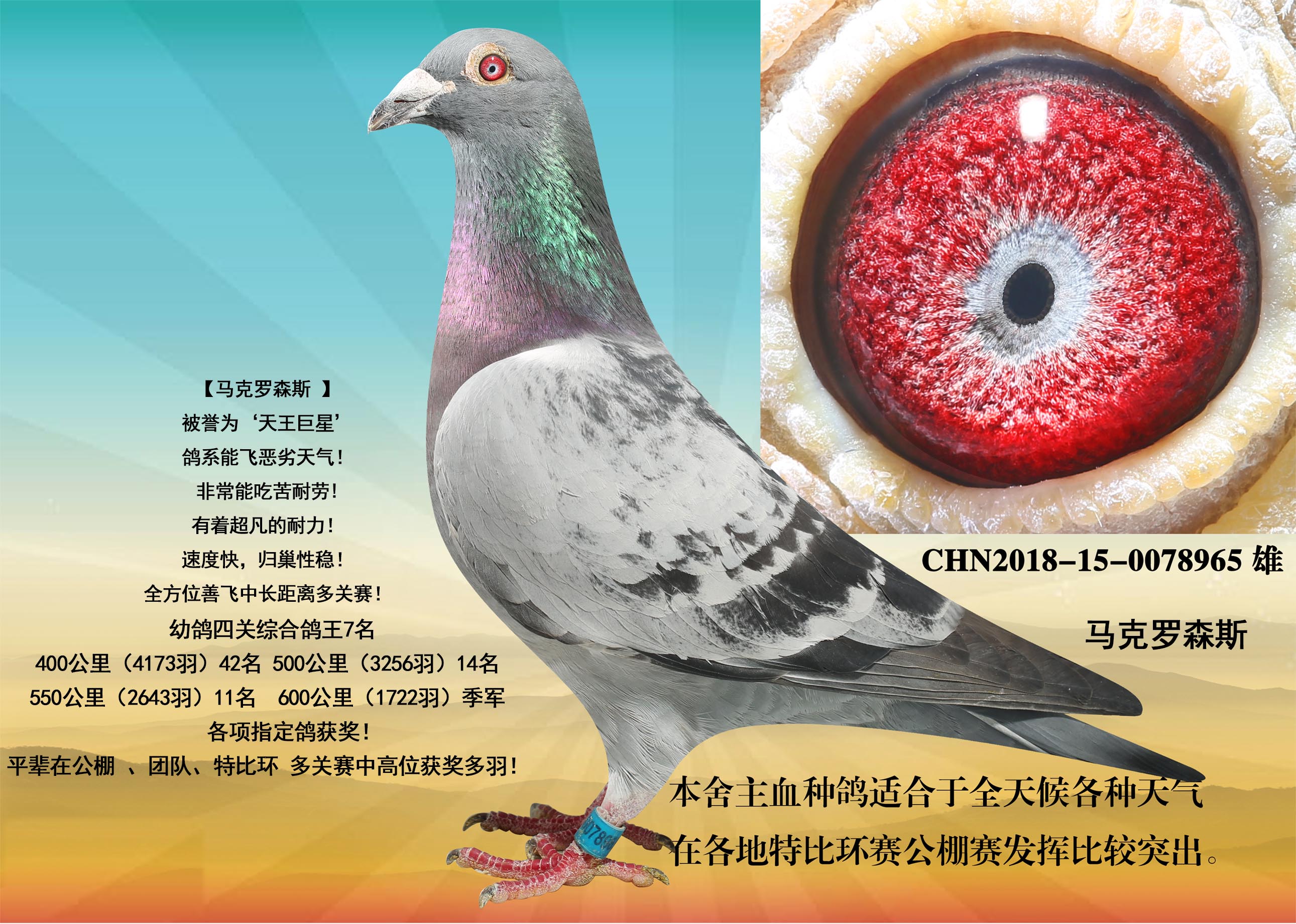马克罗森斯