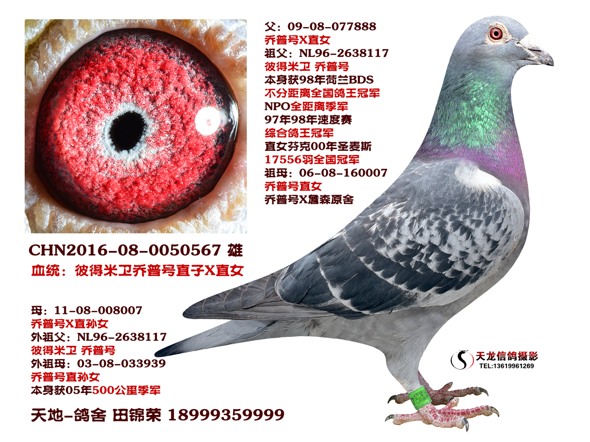 彼得.米卫乔普号直子x直女