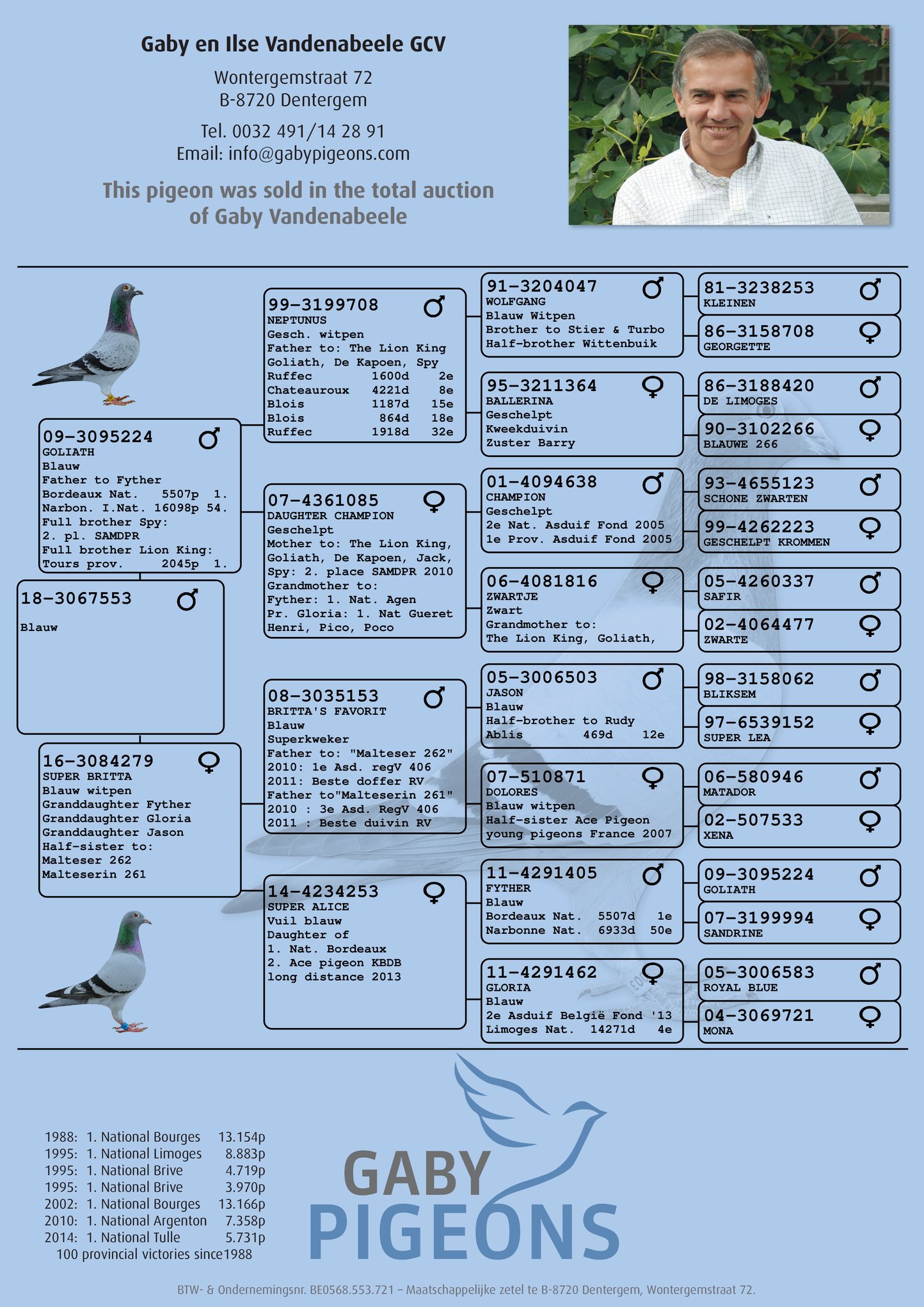 盖比原舍-巨人直子