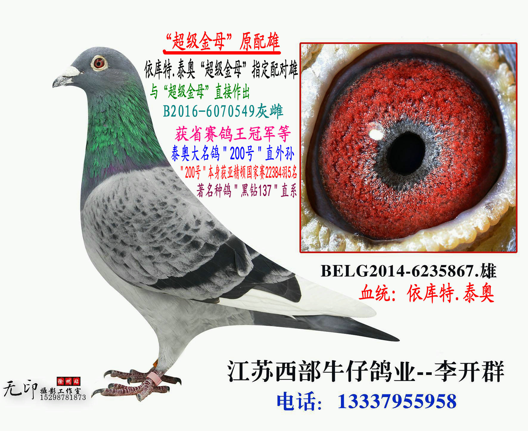 超级金母原配雄