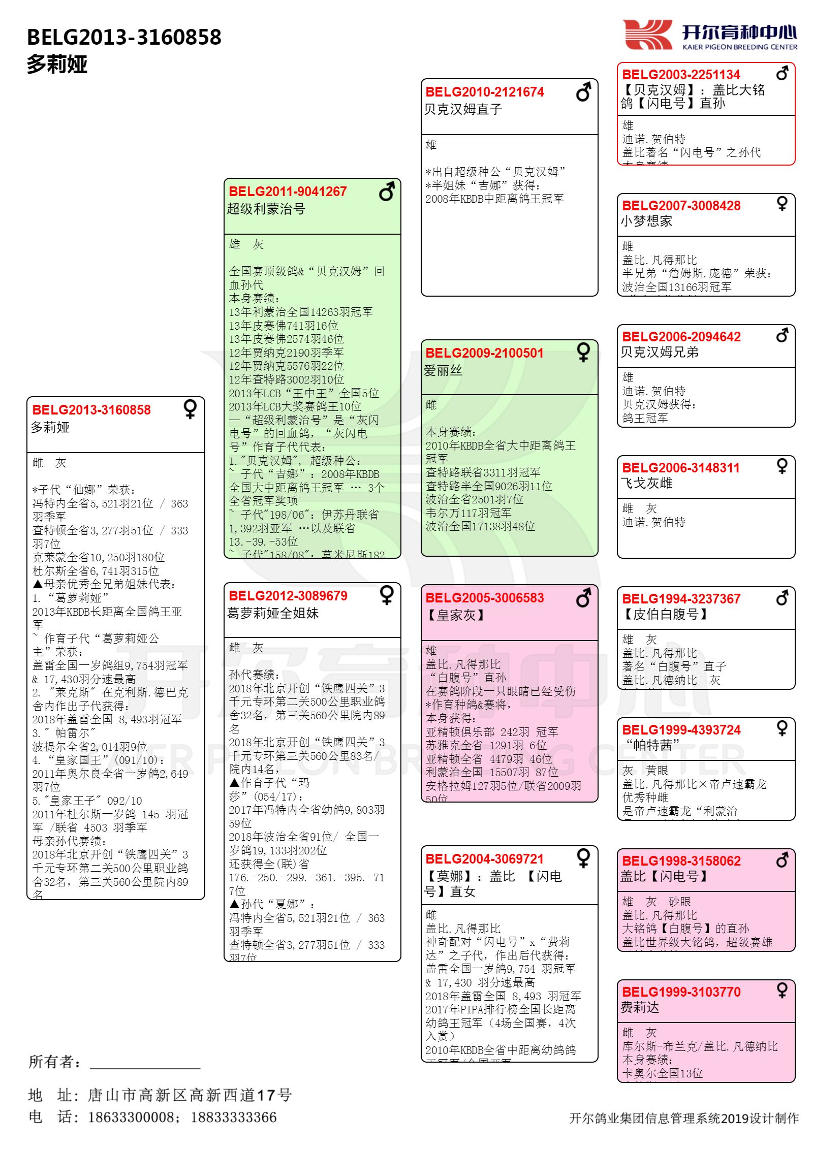 中文版血統書