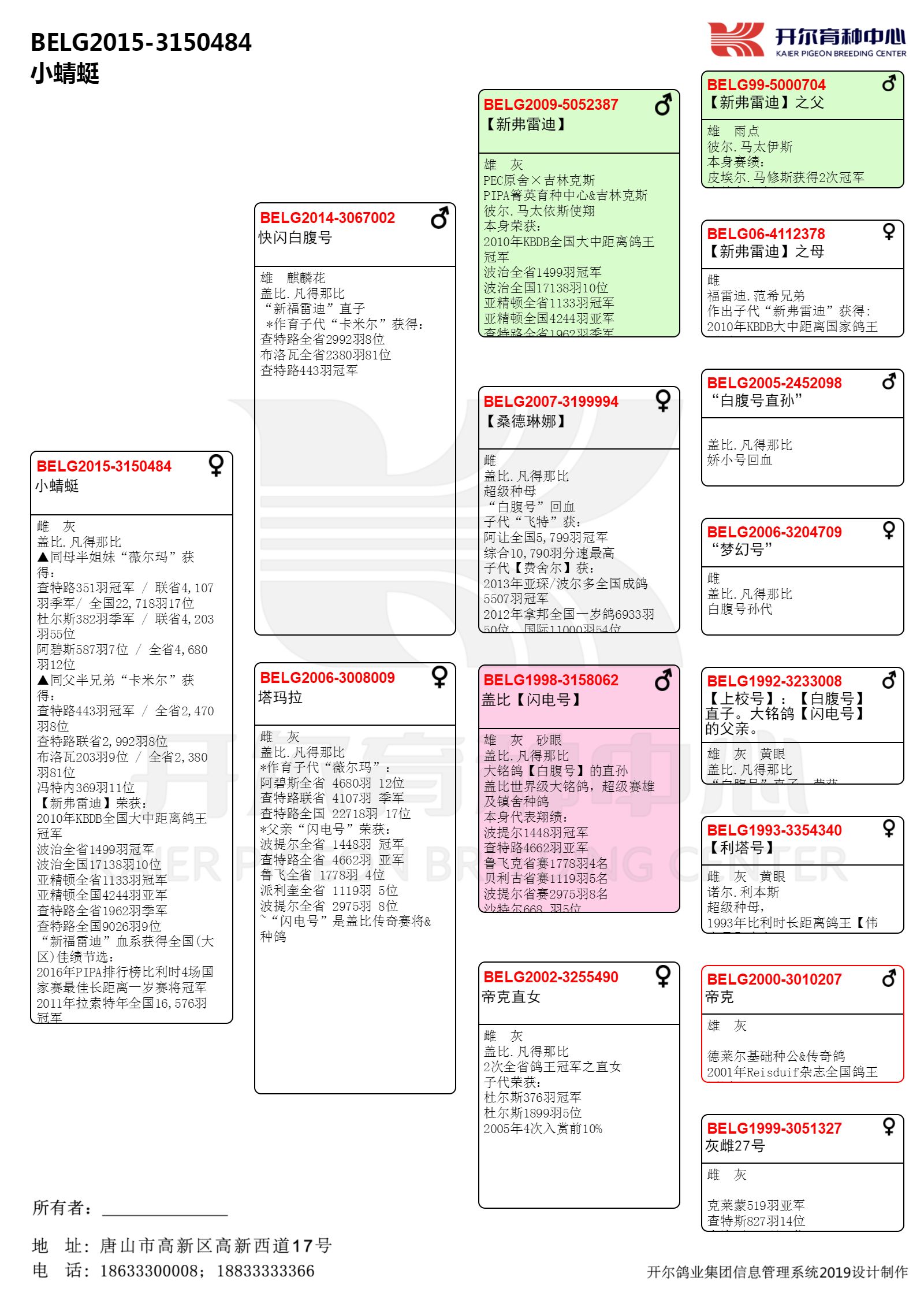 中文版血統書