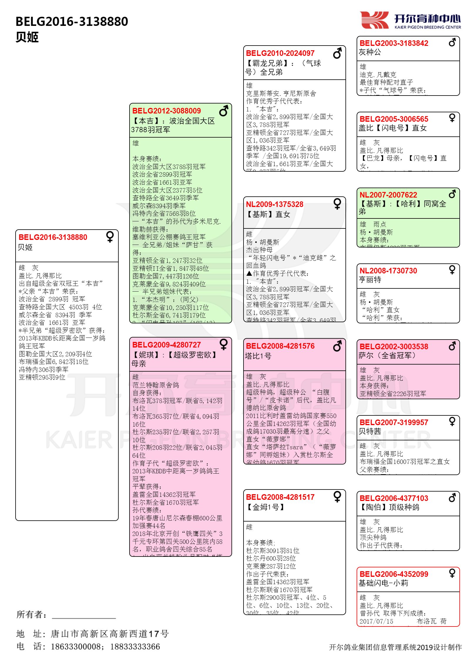 BELG鸽环对照表图片