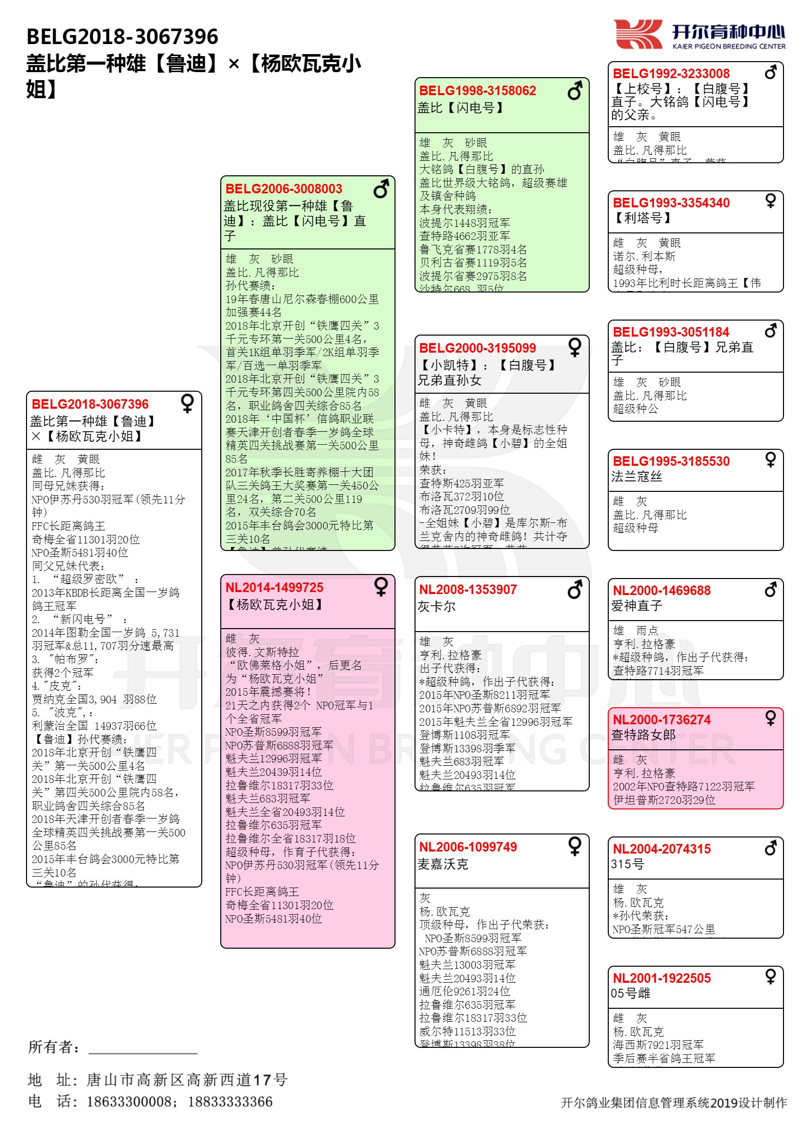 com爱鸽商城_中信网