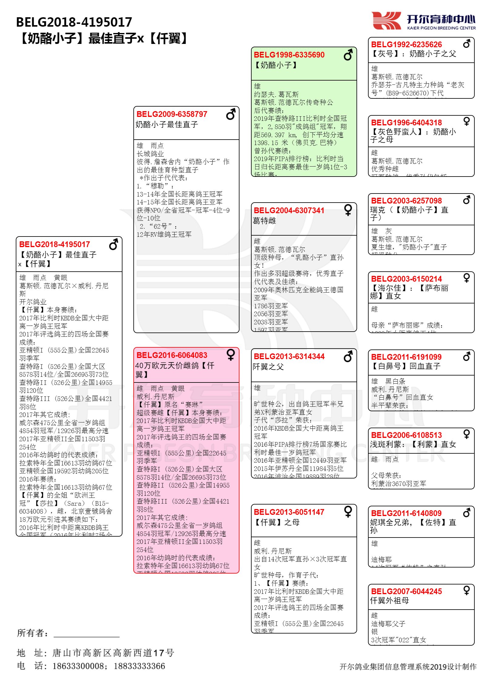 【奶酪小子】最佳直子x【仟翼】