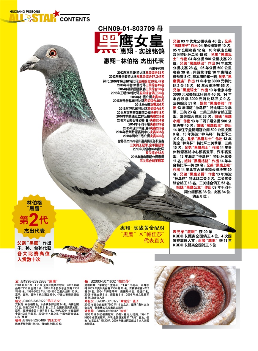 惠翔铭鸽
