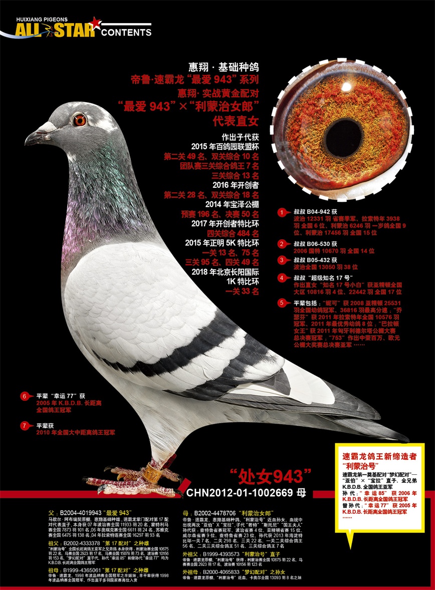 惠翔铭鸽