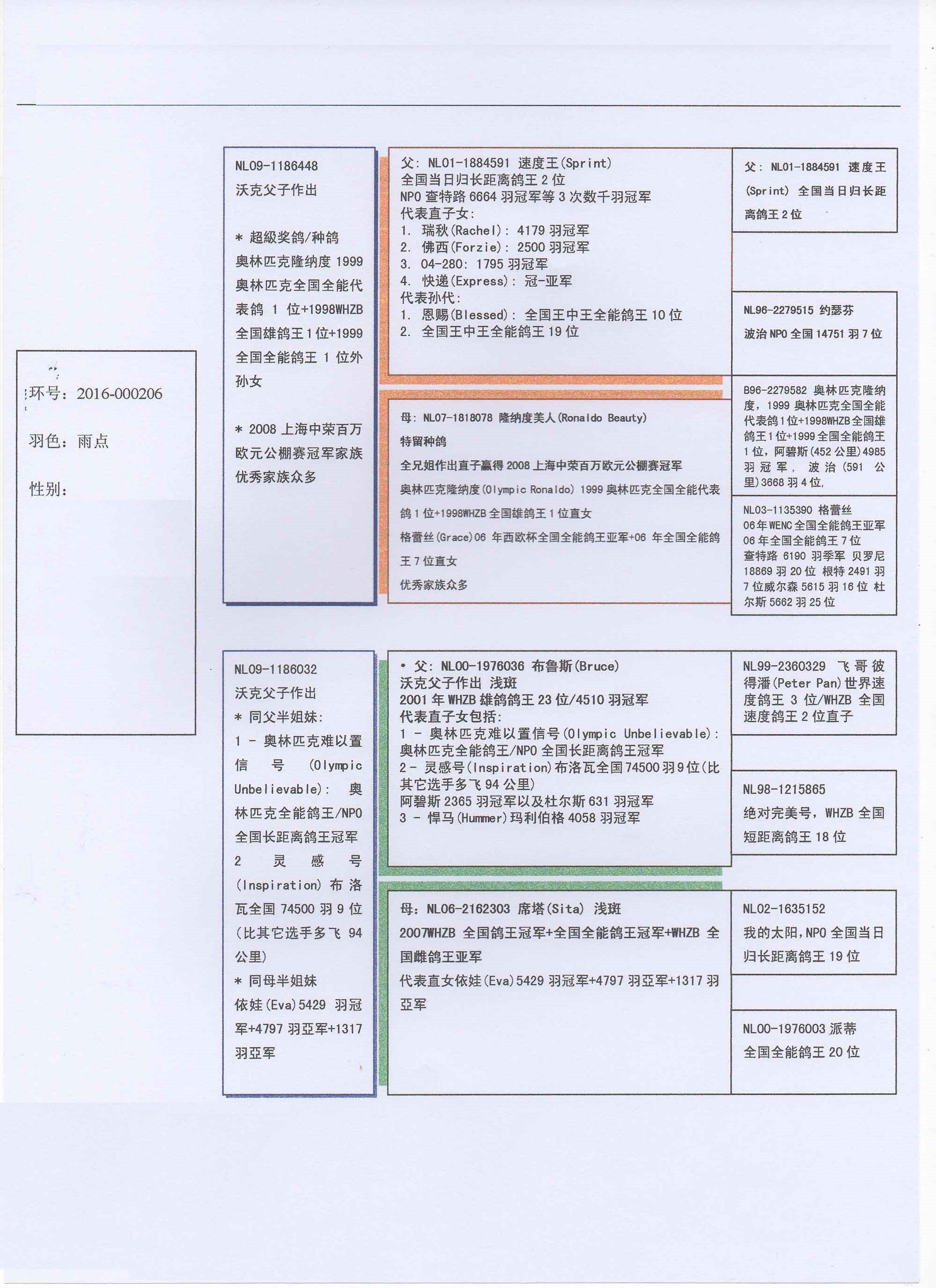 血統書